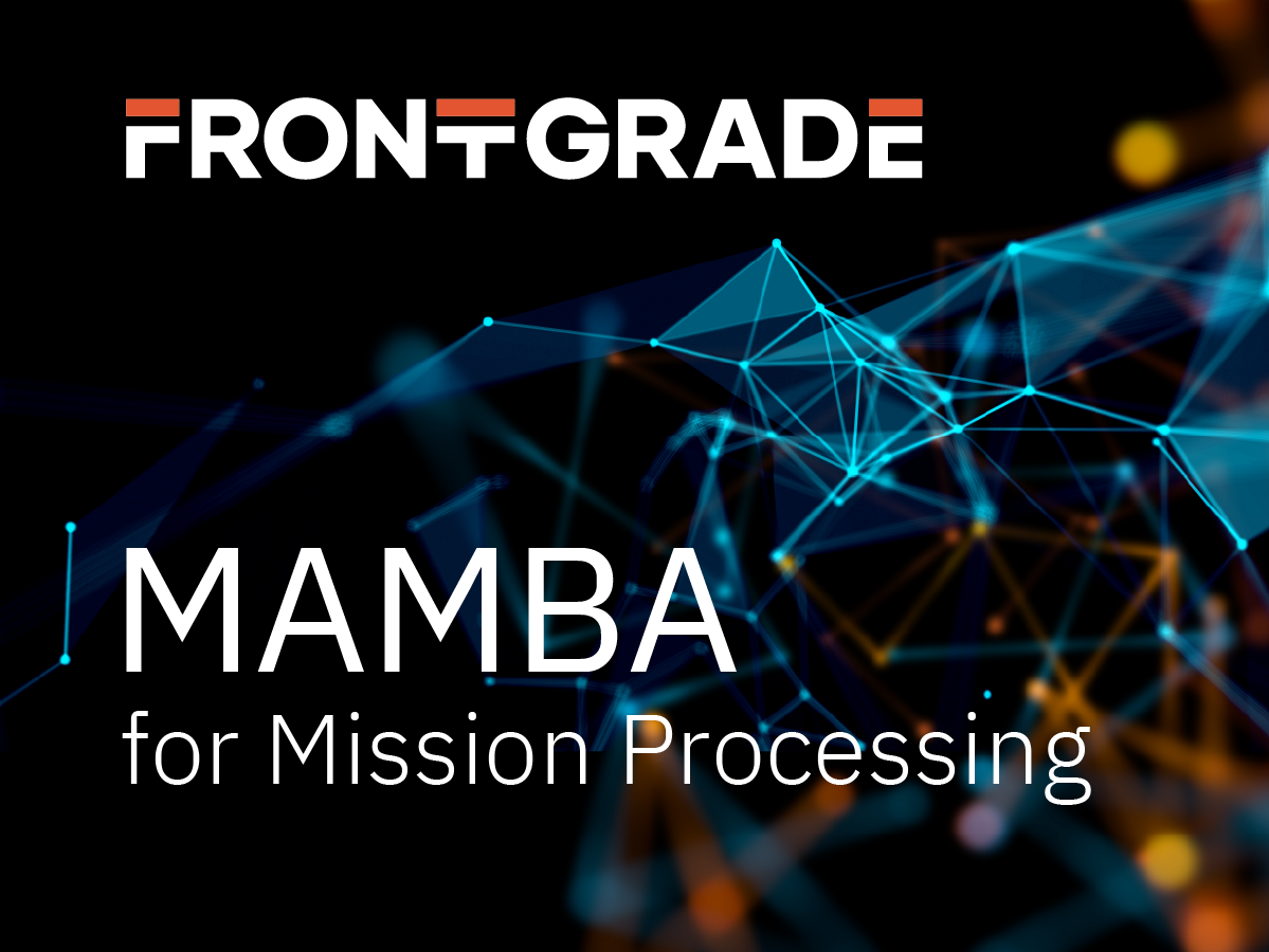 mamba